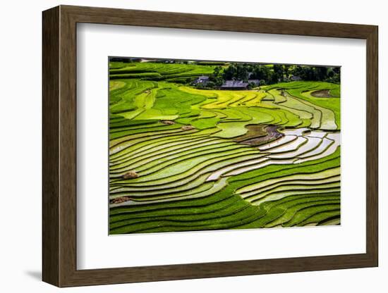 Vietnam . Rice paddies in the highlands of Sapa.-Tom Norring-Framed Photographic Print