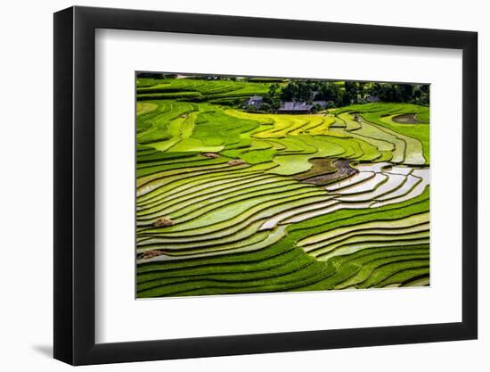 Vietnam . Rice paddies in the highlands of Sapa.-Tom Norring-Framed Photographic Print