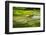 Vietnam . Rice paddies in the highlands of Sapa.-Tom Norring-Framed Photographic Print