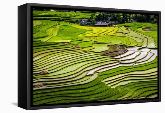 Vietnam . Rice paddies in the highlands of Sapa.-Tom Norring-Framed Stretched Canvas