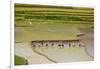 Vietnam . Rice paddies in the highlands of Sapa.-Tom Norring-Framed Photographic Print