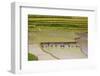 Vietnam . Rice paddies in the highlands of Sapa.-Tom Norring-Framed Photographic Print