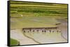 Vietnam . Rice paddies in the highlands of Sapa.-Tom Norring-Framed Stretched Canvas