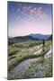 Vietnam, Sapa. Red Dao Woman on Rice Paddies at Sunrise (Mr)-Matteo Colombo-Mounted Photographic Print