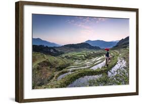 Vietnam, Sapa. Red Dao Woman on Rice Paddies at Sunrise (Mr)-Matteo Colombo-Framed Photographic Print