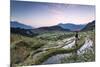 Vietnam, Sapa. Red Dao Woman on Rice Paddies at Sunrise (Mr)-Matteo Colombo-Mounted Photographic Print