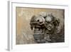 Vietnam. Stone Lion in the Entrance at Citadel, Hue, Thua Thien Hue-Kevin Oke-Framed Photographic Print