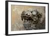 Vietnam. Stone Lion in the Entrance at Citadel, Hue, Thua Thien Hue-Kevin Oke-Framed Photographic Print