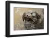 Vietnam. Stone Lion in the Entrance at Citadel, Hue, Thua Thien Hue-Kevin Oke-Framed Photographic Print