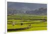 Vietnam, Thuan Chau, Rice Fields-Walter Bibikow-Framed Photographic Print