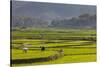 Vietnam, Thuan Chau, Rice Fields-Walter Bibikow-Stretched Canvas