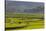 Vietnam, Thuan Chau, Rice Fields-Walter Bibikow-Stretched Canvas