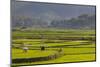 Vietnam, Thuan Chau, Rice Fields-Walter Bibikow-Mounted Photographic Print