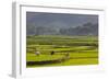 Vietnam, Thuan Chau, Rice Fields-Walter Bibikow-Framed Photographic Print