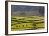 Vietnam, Thuan Chau, Rice Fields-Walter Bibikow-Framed Photographic Print