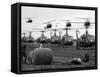 Vietnam U.S. Huey-Associated Press-Framed Stretched Canvas