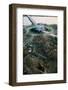 Vietnam Veterans Memorial Dedication-null-Framed Photographic Print