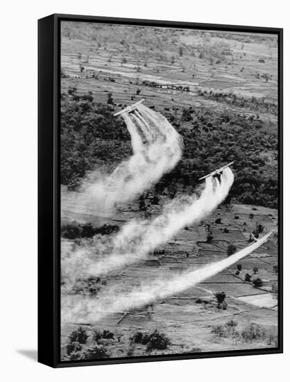 Vietnam War Agent Orange-Associated Press-Framed Stretched Canvas