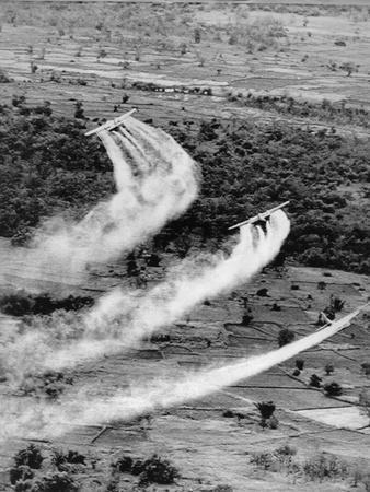 Vietnam War Agent Orange Photographic Print Associated Press Allposters Com