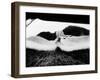 Vietnam War Defoliant-Horst Faas-Framed Photographic Print