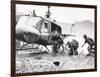 Vietnam War Hamburger Hill US Wounded-Associated Press-Framed Photographic Print