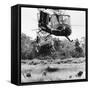 Vietnam War Helicopter Landing-Horst Faas-Framed Stretched Canvas