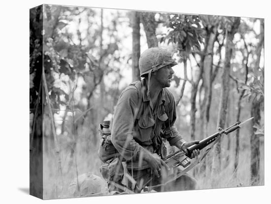 Vietnam War Ia Drang Battle Rescorla-Peter Arnett-Stretched Canvas