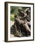 Vietnam War Memorial, Washington D.C., United States of America, North America-Harding Robert-Framed Photographic Print