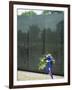 Vietnam War Memorial, Washington D.C., United States of America, North America-Harding Robert-Framed Photographic Print