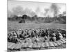 Vietnam War Operation Attleboro-John Nance-Mounted Photographic Print