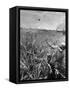 Vietnam War South Vietnamese-Neal Ulevich-Framed Stretched Canvas