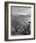 Vietnam War South Vietnamese-Neal Ulevich-Framed Photographic Print