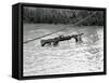 Vietnam War Submerged Gunner-Henri Huet-Framed Stretched Canvas