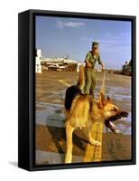 Vietnam War U.S.A.F. Guard Dog-Associated Press-Framed Stretched Canvas