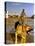 Vietnam War U.S.A.F. Guard Dog-Associated Press-Stretched Canvas