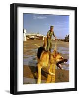 Vietnam War U.S.A.F. Guard Dog-Associated Press-Framed Photographic Print