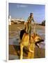 Vietnam War U.S.A.F. Guard Dog-Associated Press-Framed Photographic Print