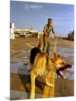 Vietnam War U.S.A.F. Guard Dog-Associated Press-Mounted Photographic Print