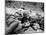 Vietnam War - U.S. Army Zone D-Henri Huet-Mounted Premium Photographic Print