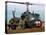 Vietnam War U.S. Helicopter-Associated Press-Stretched Canvas