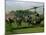 Vietnam War U.S. Paratroopers-Associated Press-Mounted Premium Photographic Print