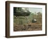 Vietnam War U.S. Paratroopers-Associated Press-Framed Photographic Print