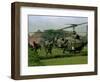 Vietnam War U.S. Paratroopers-Associated Press-Framed Photographic Print