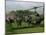 Vietnam War U.S. Paratroopers-Associated Press-Mounted Photographic Print