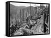 Vietnam War US Dak To-Associated Press-Framed Stretched Canvas