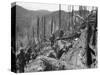 Vietnam War US Dak To-Associated Press-Stretched Canvas