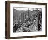 Vietnam War US Dak To-Associated Press-Framed Photographic Print