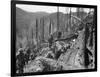 Vietnam War US Dak To-Associated Press-Framed Photographic Print