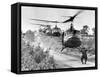 Vietnam War US Helicopters-Horst Faas-Framed Stretched Canvas