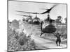 Vietnam War US Helicopters-Horst Faas-Mounted Premium Photographic Print